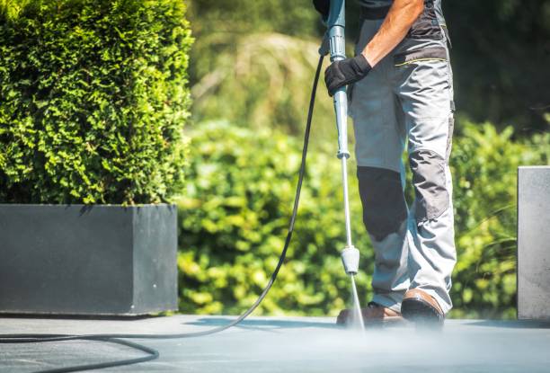 Best Roof Washing  in Brookdale, NJ